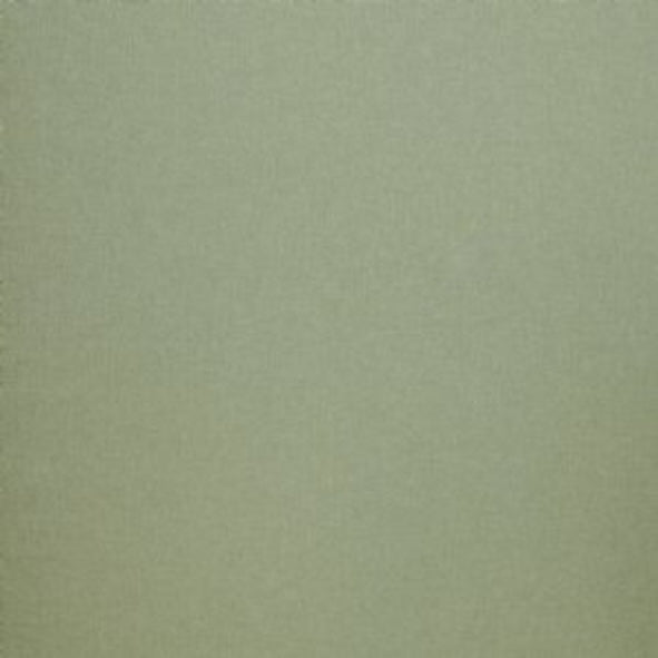 Canvas Mint