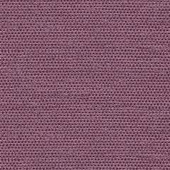 Douglas Amethyst 5.2m Remnant