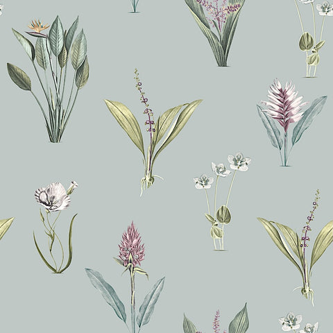 Kaya Chalk Blue FR Blackout