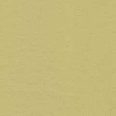 Kira Wild Lime
