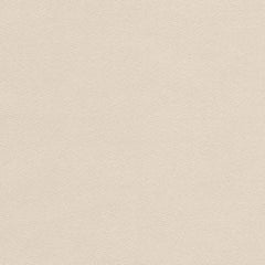 Cotton Twill Interlining - Endoflinefabrics