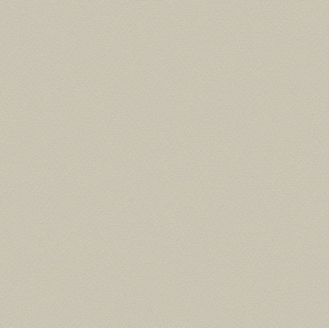 Xtreme Plus Adobo 2.2m Remnant