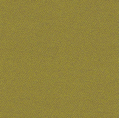 Xtreme Plus Appledore 3.3m Remnant