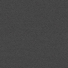 Xtreme Plus Blizzard 2.1m Remnant