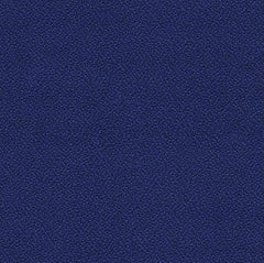 Xtreme Plus Cayman 4.8m Remnant.