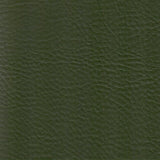 Leatherette Green FR - 1.8 mt Remnant