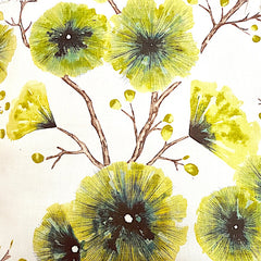 Vintage Harlequin Kabala Gooseberry - 2.5mt Remnant